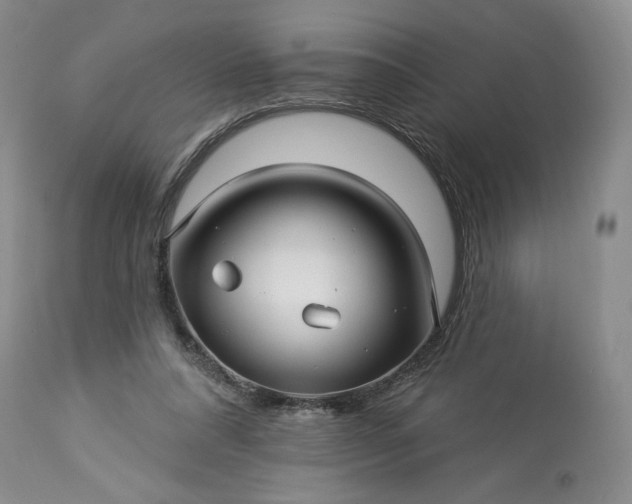 X0000113340304200909291036