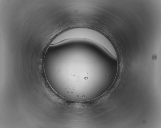 X0000113340305200909291036