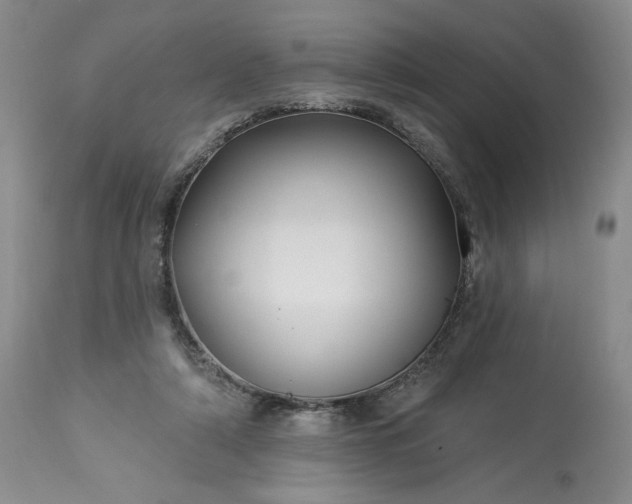 X0000113340306200909291036