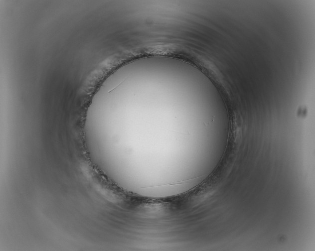 X0000113340307200909291036