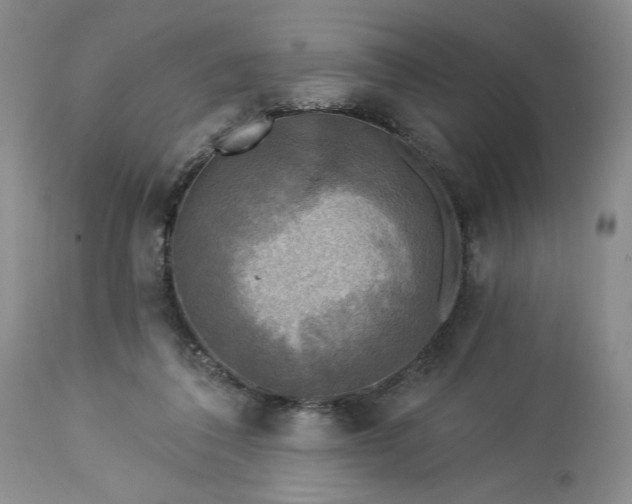 X0000113340308200909291036