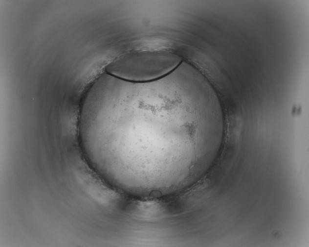 X0000113340309200909291036