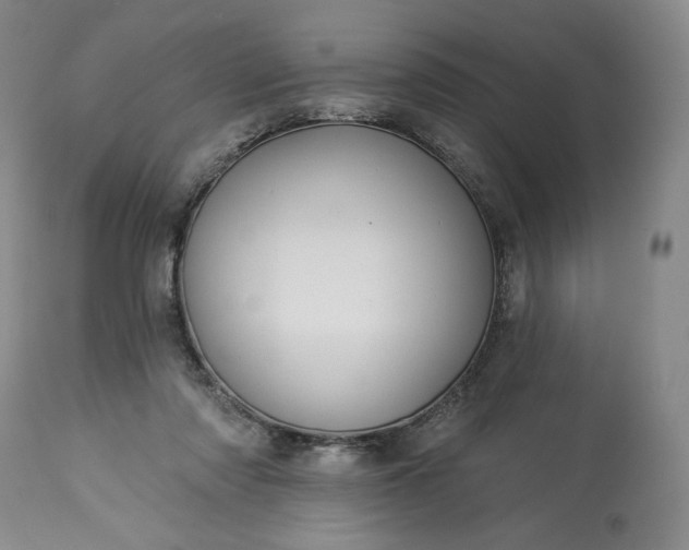 X0000113340310200909291036