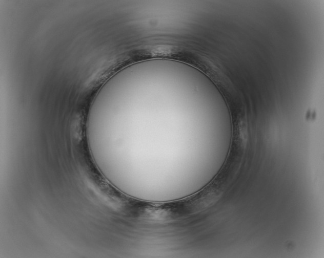 X0000113340311200909291036