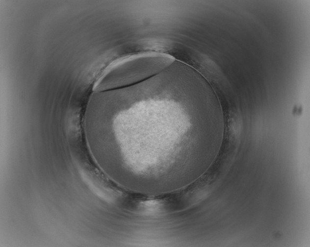 X0000113340312200909291036