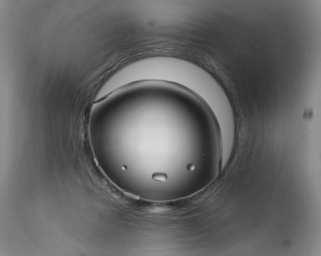 X0000113340313200909291036