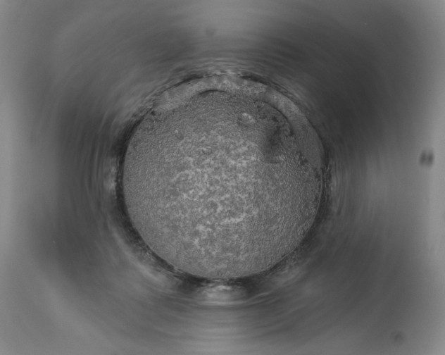 X0000113340315200909291036