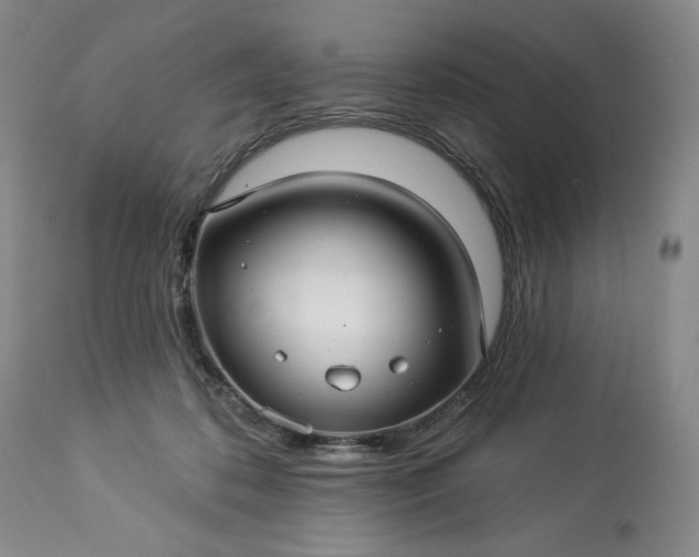 X0000113340316200909291036