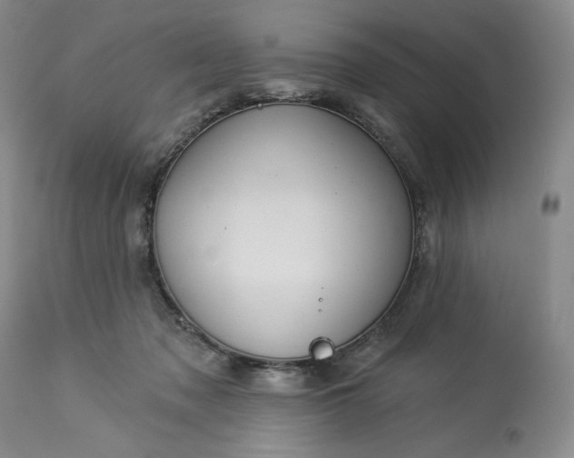 X0000113340317200909291036