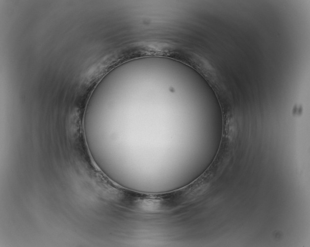 X0000113340318200909291036