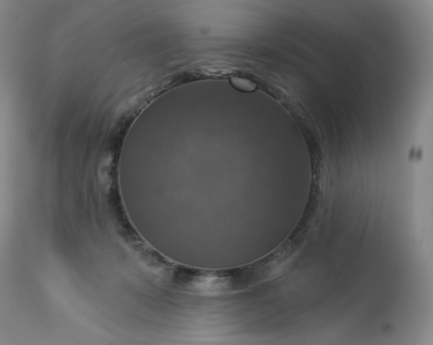 X0000113340319200909291036