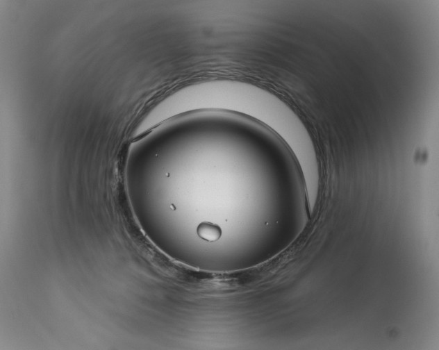 X0000113340320200909291036