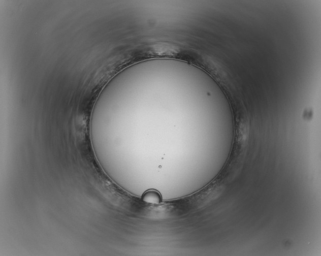 X0000113340321200909291036