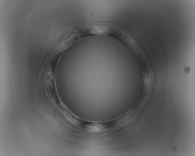 X0000113340322200909291036