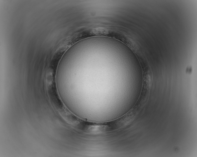 X0000113340323200909291036