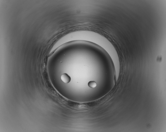 X0000113340324200909291036