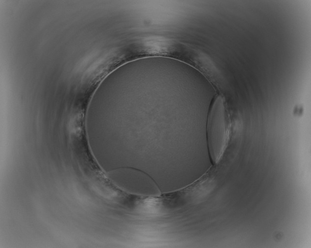 X0000113340325200909291036