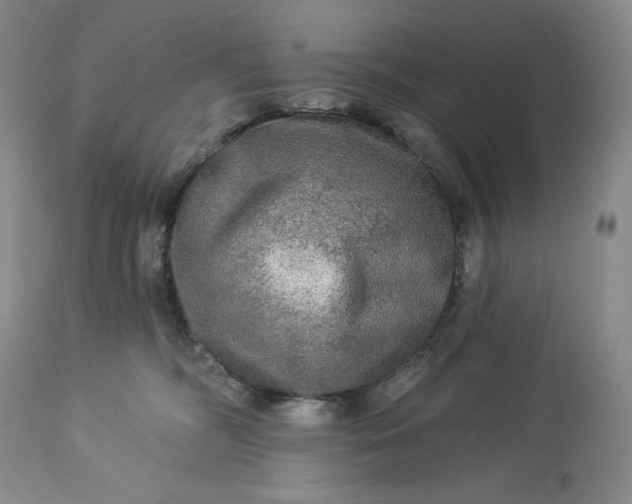 X0000113340326200909291036