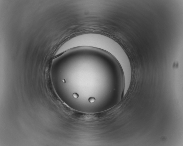 X0000113340327200909291036