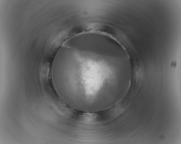 X0000113340328200909291036