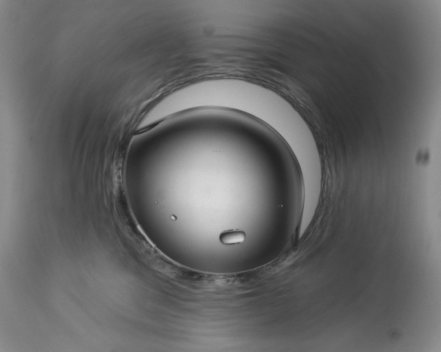 X0000113340329200909291036