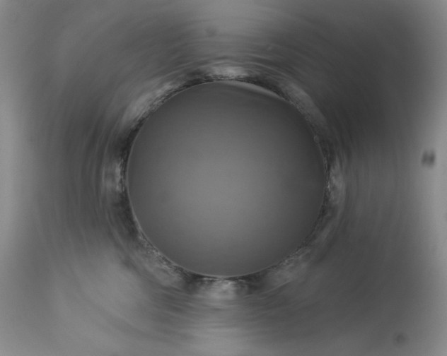 X0000113340330200909291036