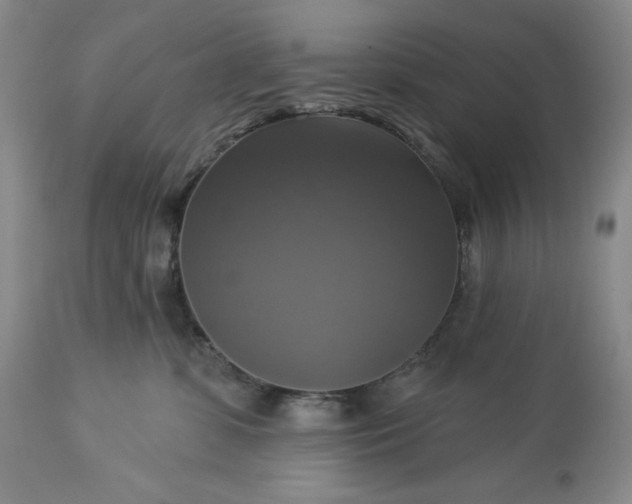 X0000113340331200909291036