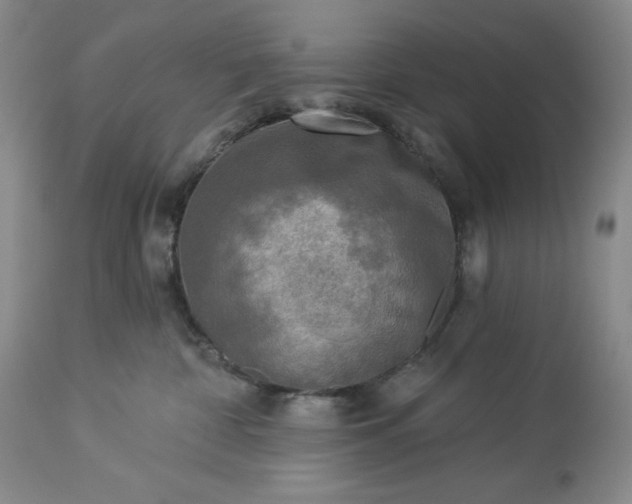 X0000113340332200909291036