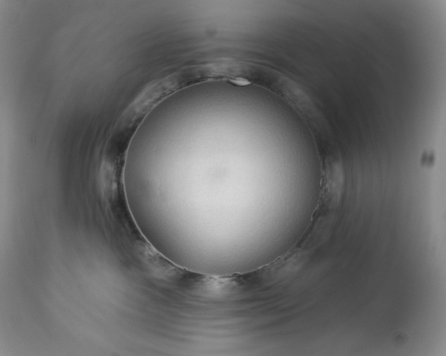 X0000113340333200909291036