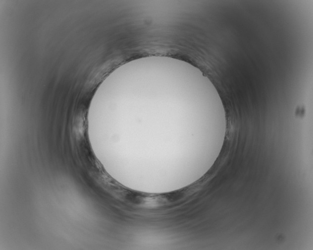 X0000113340334200909291036