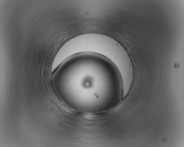 X0000113340336200909291036