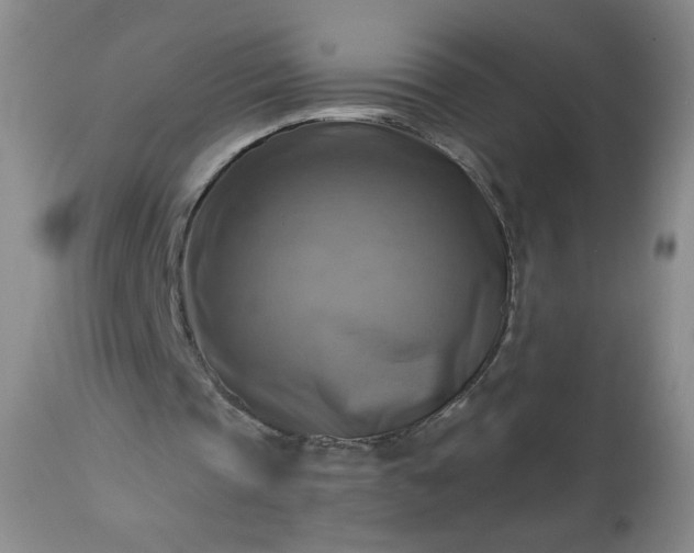 X0000113340337200909291035