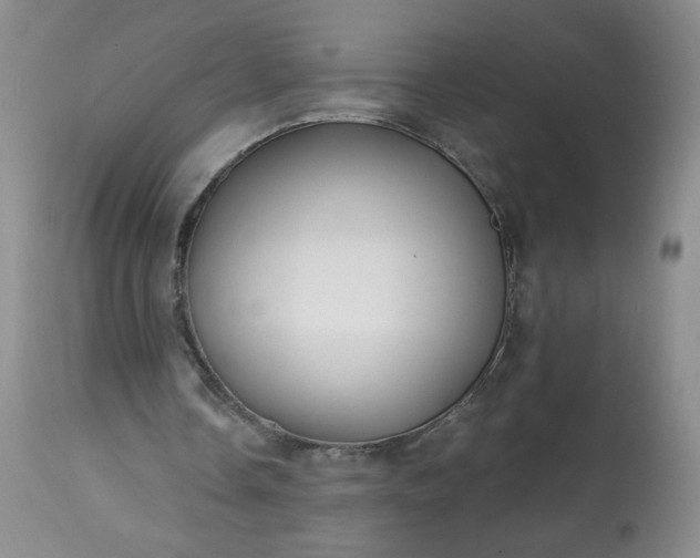 X0000113340338200909291035