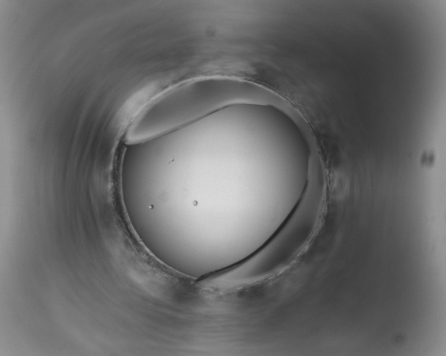 X0000113340340200909291035