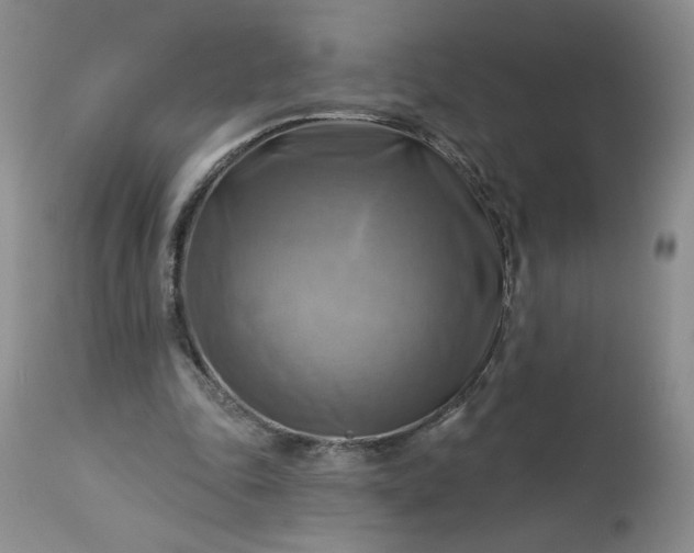 X0000113340343200909291035