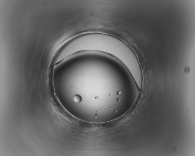 X0000113340344200909291035