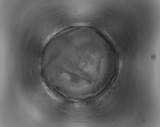 X0000113340345200909291035