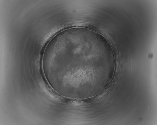 X0000113340346200909291035