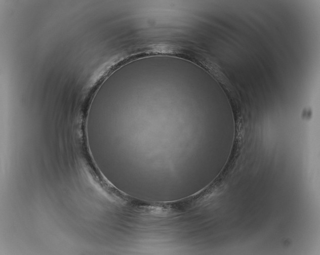 X0000113340347200909291035