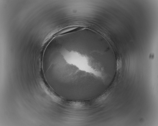 X0000113340349200909291035