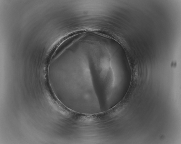 X0000113340351200909291035