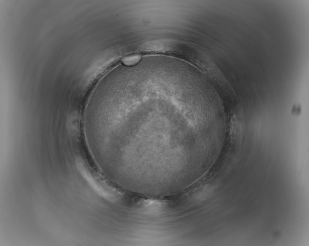 X0000113340352200909291035