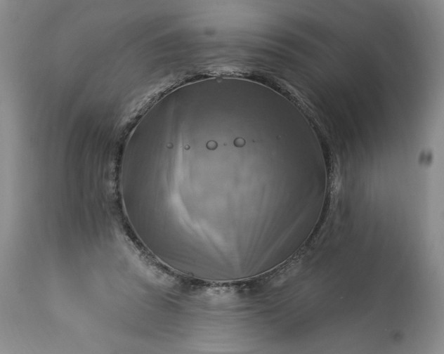 X0000113340353200909291035