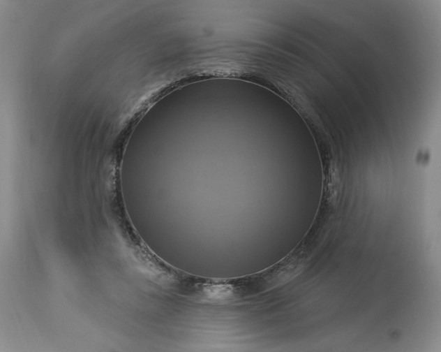 X0000113340355200909291035