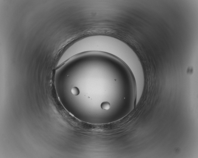 X0000113340356200909291035