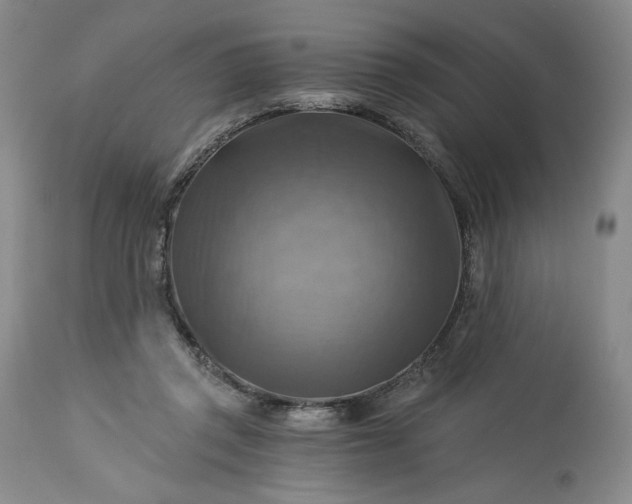 X0000113340357200909291035