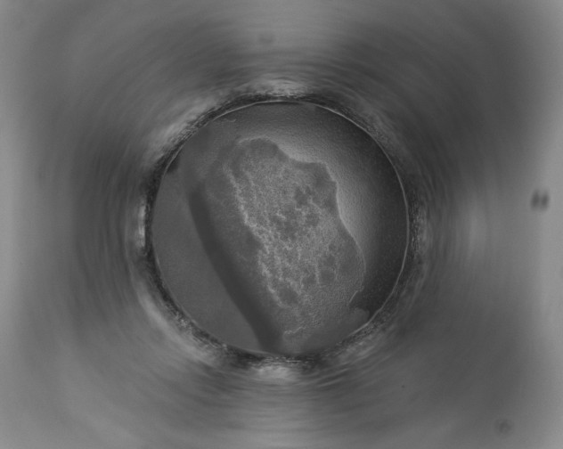 X0000113340358200909291035