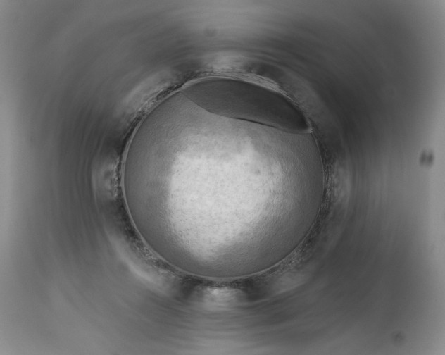 X0000113340360200909291035