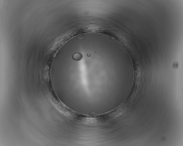 X0000113340361200909291035