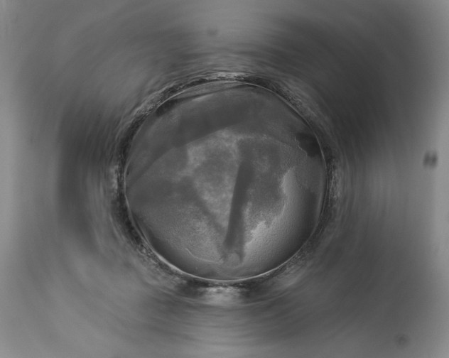 X0000113340363200909291036